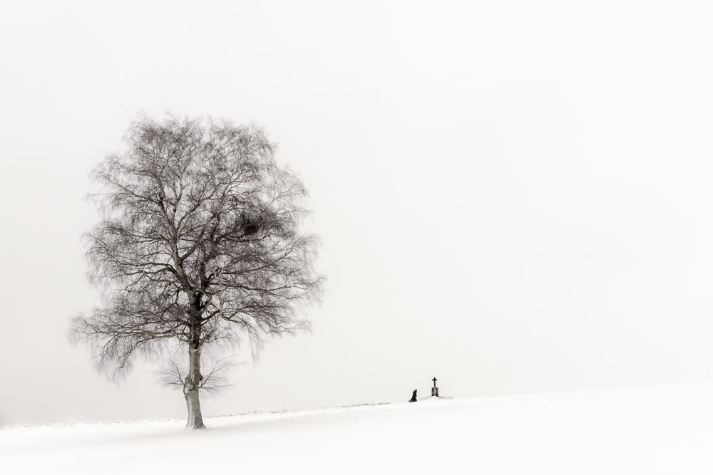 Platz 1 Robert Seitz